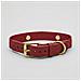 Collare Per Cani Bordeaux - Xl - Foto miniatura 1