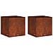 Vaso da giardino 2 pz Ruggine 50 x 50 x 49 cm Acciaio Corten - Foto miniatura 1