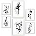 Set Di 6 Stampe Boutonnieres Stampe Naturalistiche E Botaniche Con Motivi Floreali Nel Classico Design D'interni In Bianco E Nero A3 & A4 Cornice Bianca - Foto miniatura 1