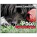 Diana Lanciotti - Paco, il simpatico ragazzo. Ediz. illustrata - Foto miniatura 1
