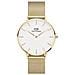 Orologio Da Donna Classic Petite Evergold 36mm Dw00100346 - Foto miniatura 1