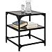 Tavolini Da Salotto Con Piano Vetro Nero 2pz 40x40x45cm Acciaio - Foto miniatura 3