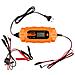 Raddrizzatore Automatico 4a / 70w, 3-120ah, Per Batterie Al Piombo / Agm / Gel - Foto miniatura 1