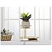 Vassoio Mf690 - Oro - Metallo - 36x22,5x27 Cm - Foto miniatura 4