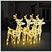 Renne Di Natale 4 Pz Bianco Caldo 160 Led In Acrilico - Foto miniatura 1
