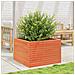 Fioriera Giardino Marrone Cera 70x70x45,5cm Legno Massello Pino - Foto miniatura 3