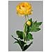 Ranuncolo di Seta da 57 cm Colore Giallo - Foto miniatura 1