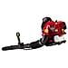 Soffiatore Sf43 Zaino 08611 - Foto miniatura 1