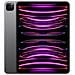 iPad Pro 11 (2022) 1 TB 11" Wi-Fi - 5G Grigio Siderale - Foto miniatura 1