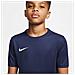 T-Shirt Dry Park Vii Jr Bv6741-410 Bambino Taglia Xl Colore Blu - Foto miniatura 4