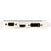 GeForce GT 710 2 GB DDR3 Pci-E 2.0 DVI-D Dual Link / D-SUB / HDMI Low Profile  - Foto miniatura 10