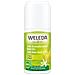 24h Deo Roll-on Limone 50ml - Foto miniatura 1