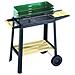 50311 Green Line Barbecue in Acciaio Verniciato con Carrello - Foto miniatura 3
