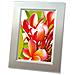 Inkjet Photo Paper 2x20 Sheets, Lucida, 210 x 297 mm - Foto miniatura 3