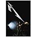 Dvd Metallica - Quebec Magnetic (2 Dvd) - Foto miniatura 1