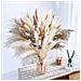 Bouquet Di Fiori Secchi 93 Steli - Composizione Boho Con Erba Di Pampas E Coda Di Coniglio - Foto miniatura 3