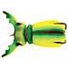 Supernato Beetle Col. Chart Beetle - Foto miniatura 1