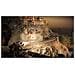 Army of Two: The Devils Cartel Limited Edition, Xbox 360, Xbox 360, Azione, M (Mature)  - Foto miniatura 4