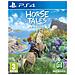 Horse Tales - The Emeraude Valley Limited Edition Ps4 - Foto miniatura 1