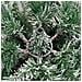 Albero Natale Artificiale Incernierato Con Neve Fioccata 180 Cm - Foto miniatura 7