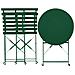 Set Bistrot Pieghevole Fiori Metallo Verde Scuro Verde - Foto miniatura 4