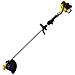 Decespugliatore 'pg260w' Hp 1,0 - C /accessori - Foto miniatura 1