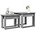 Set di Tavolini da Caffè 2 pcs Grigio Sonoma Legno multistrato - Foto miniatura 3