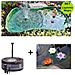 Set Laghetto Per Giardino Da 610 Lt + Pompa Filtro Ecopond 2 + 3 Ninfee Decorative Laghetto Magic - Foto miniatura 1