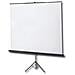 SCHERMO PROIEZIONE A CAVALLETTO 180x180cm 1:1 Tela Bianca Lentic. c / Tenditore Modello Junior - Foto miniatura 4