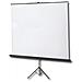 SCHERMO PROIEZIONE A CAVALLETTO 180x180cm 1:1 Tela Bianca Lentic. c / Tenditore Modello Junior - Foto miniatura 6