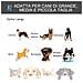 Kennel Gabbia Per Cani Pieghevole Con Freno E Fondo Rimovibile - Grigio - Foto miniatura 2