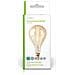 E27 A160 5w 280lm 2000k Dimmerabile Lampadina A Filamento Di Vetro Vintage Led, Trasparente - Foto miniatura 2