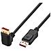 Cavo Audio /Video DisplayPort 1.4 8K M /M Angolato 90° 2m Nero - Foto miniatura 1