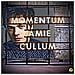 Cd Cullum Jamie - Momentum - Foto miniatura 1