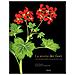 Noël Kingsbury - La storia dei fiori e di come hanno cambiato il nostro modo di vivere. Ediz. a colori - Foto miniatura 1