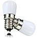 2 Lampadine Led 2 Watt Luce Naturale Lampadina Per Frigorifero Cappa Lampadario - Foto miniatura 2