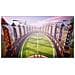 Harry Potter: Campioni di Quidditch (NS) - Foto miniatura 7