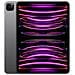 iPad Pro 11 (2022) 1 TB 11" Wi-Fi Grigio Siderale - Foto miniatura 1