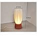 Lampada Da Scrivania Usb Dimmerabile Con Base Stampata In 3d - Luce Ambientale Da Comodino In Stile Nordico - Foto miniatura 3