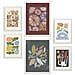 Set Di 6 Stampe Stampe Di Fiori Nella Collezione Di Stampe Etniche Cornici Decorative Estetiche Per La Stampa Artistica Da Parete Della Tua Casa A3 & A4 Cornice Bianca - Foto miniatura 1