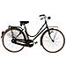 Bici Misura 26 Da Donna Linea R Freni A Bacchetta Bicicletta Tradizionale R26d Retro 1v Luci Con Dinamo E Filetti Oro - 47 Nero - Foto miniatura 1