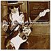 Cd Vaughan Stevie Ray-live From Carnegie - Foto miniatura 1