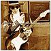 Cd Vaughan Stevie Ray-live From Carnegie - Foto miniatura 2