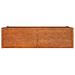 Letto Rialzato da Giardino Ruggine 160x80x45 cm Acciaio Corten - Foto miniatura 5