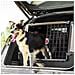 Trasportino Per Cani Atlas Car 100 Scenic 73113017 - Foto miniatura 10