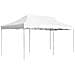 Gazebo Professionale Pieghevole Alluminio 6x3 m Bianco - Foto miniatura 1