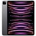 iPad Pro 11 (2022) 2 TB 11" Wi-Fi Grigio Siderale - Foto miniatura 1
