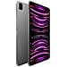 iPad Pro 11 (2022) 2 TB 11" Wi-Fi Grigio Siderale - Foto miniatura 3