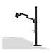 Monitor 23.8" LED IPS ZenScreen MB249C 1920 x 1080 Full HD Tempo di Risposta 5 ms - Foto miniatura 14