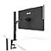 Monitor 23.8" LED IPS ZenScreen MB249C 1920 x 1080 Full HD Tempo di Risposta 5 ms - Foto miniatura 9
